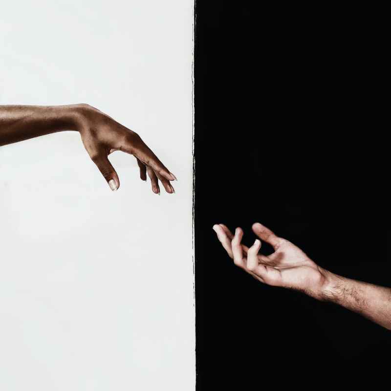 Book Review of The Impossible&nbsp;Us